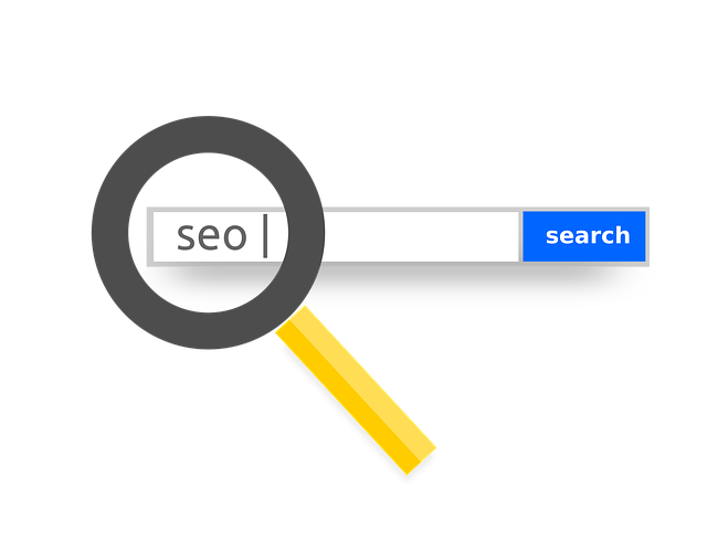 seo a lupa